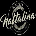 Logo da emissora Rádio naftalina