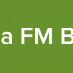 Logo da emissora Rádio Mega FM Brazil