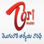 Logo da emissora Telugu Radio