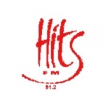 Logo da emissora Radio Hits 91.2 FM
