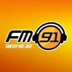 Logo da emissora Radio FM 91.0