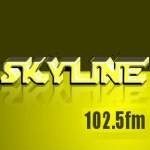 Logo da emissora Radio Skyline 102.5 FM