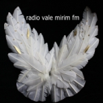 Logo da emissora Rádio Vale Mirim FM