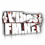 Logo da emissora Radio Vibes 93.8 FM