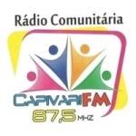 Logo da emissora Rádio Comunitária Capivari 87.5 FM