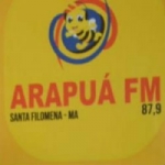 Logo da emissora Rádio Arapuá FM