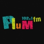 Logo da emissora Plum 102.1 FM