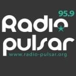 Logo da emissora Pulsar 95.9 FM