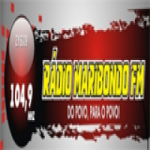 Logo da emissora Rádio Maribondo 104.9 FM