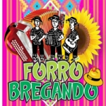 Logo da emissora Rádio Forró Bregando