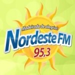 Logo da emissora Rádio Nordeste 95.3 FM