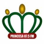 Logo da emissora Rádio Princesa 87.5 FM