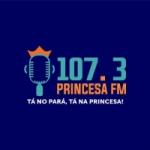 Logo da emissora Rádio Princesa 107.3 FM