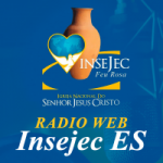 Logo da emissora Rádio Web Insejec ES