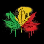 Logo da emissora Rádio Ganja Roots