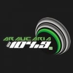 Logo da emissora Rádio Araucária 104.9 FM