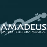 Logo da emissora Radio Amadeus 91.1 FM