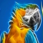 Logo da emissora Rádio Pantaneira