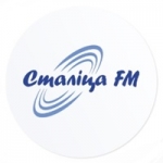 Logo da emissora Radio Stalica 105.1 FM