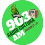 Logo da emissora Rádio Cultura 1460 AM