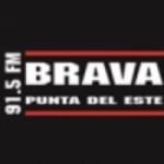 Logo da emissora Radio Brava 91.5 FM