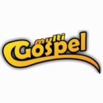 Logo da emissora Multi Gospel Web Rádio