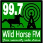 Logo da emissora Radio Wild Horse 99.7 FM