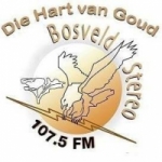 Logo da emissora Bosveld Stereo 107.5 FM