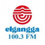 Logo da emissora Radio Elgangga 100.3 FM