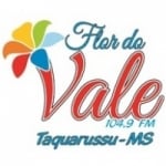 Logo da emissora Rádio Flor do Vale 104.9 FM