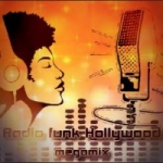 Logo da emissora Radio Hollywood Funk Megamix