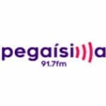 Logo da emissora Radio Pegaisima 91.7 FM