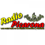 Logo da emissora Radio Picarona 102.5 FM