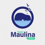 Logo da emissora Radio Maulina 90.7 FM