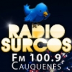 Logo da emissora Radio Surcos 100.9 FM