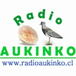 Logo da emissora Radio Aukinko