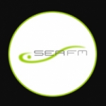 Logo da emissora Radio Ser 103.1 FM