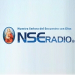 Logo da emissora NSE Radio 107.3 FM
