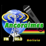 Logo da emissora Radio Ancoraimes 95.3 FM
