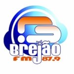 Logo da emissora Rádio Brejão 87.9 FM