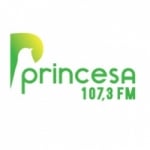 Logo da emissora Rádio Princesa 107.3 FM