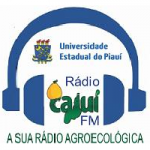 Logo da emissora Rádio Cajuí FM