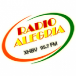 Logo da emissora Radio Alegria 95.7 FM