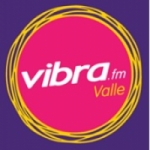 Logo da emissora Radio Vibra 91.0 FM