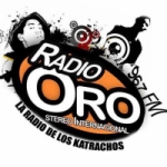 Logo da emissora Radio Oro 96.7 FM
