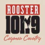 Logo da emissora Radio Rooster 101.9 FM