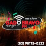 Logo da emissora Rádio Difusora Gado Bravo