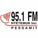 Logo da emissora Radio CIMB 95.1 FM