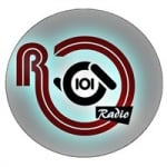 Logo da emissora Radio 101.1 FM La Union