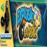 Logo da emissora Radio Explosão da Rede